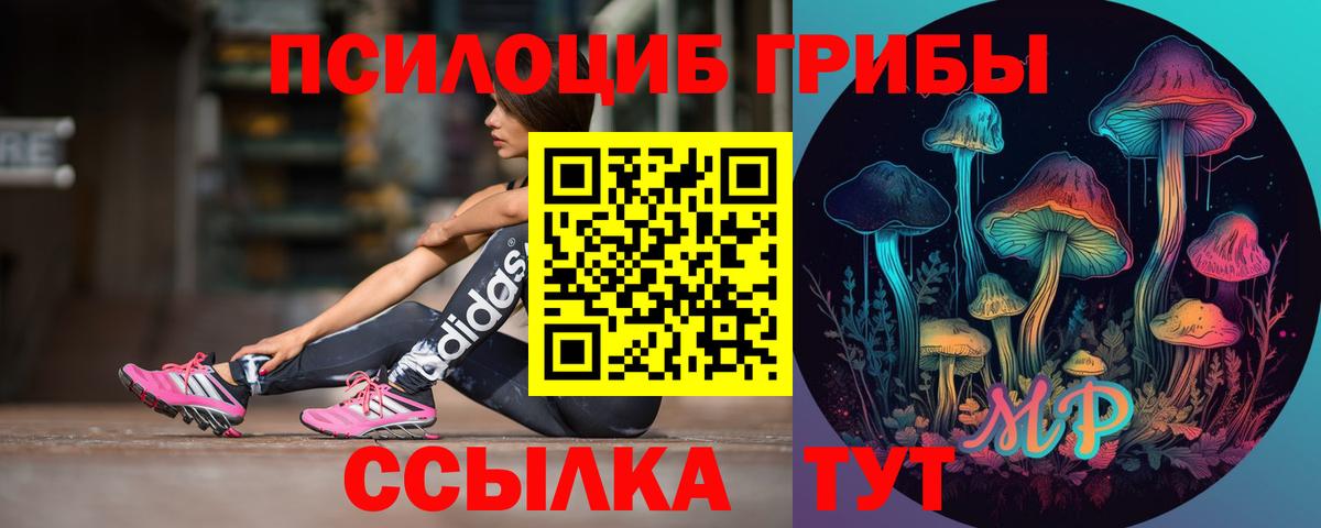 Псилоцибиновые грибы прущие грибы  Вход с VPN  Псилоцибиновые грибы Cubensis  Павлово 